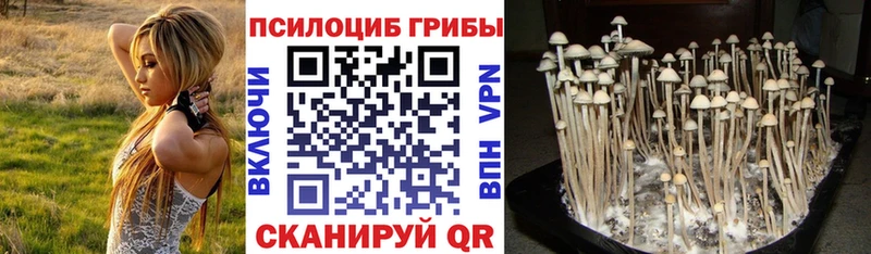 Галлюциногенные грибы GOLDEN TEACHER  даркнет наркотические препараты  Гусиноозёрск 